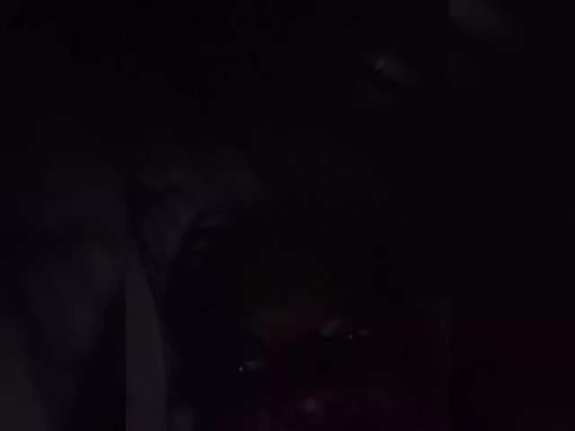 spicyflorah on BongaCams