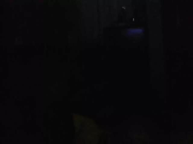 SweetAlly on BongaCams
