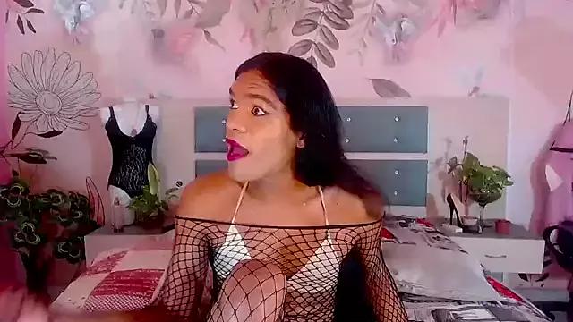 bigblacktransxxx on StripChat 