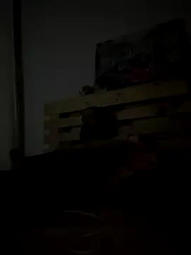 BigBoyXXL35 on StripChat 